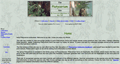 Desktop Screenshot of platycerium.co.za